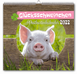 PoKa_GluecksSchwein_COV