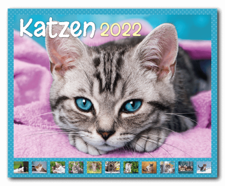 Wandkalender_Katzen_Cov